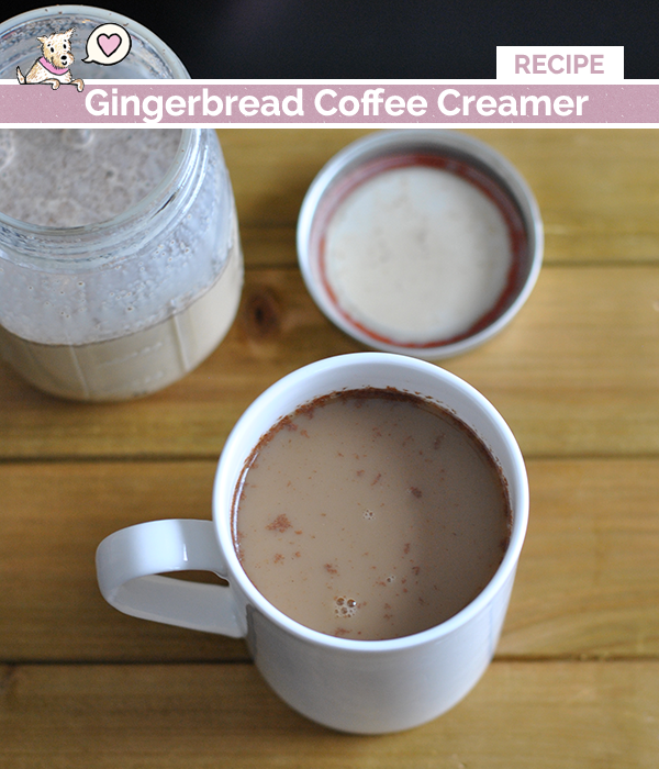 gingerbread-coffee-creamer-recipe - Court's House